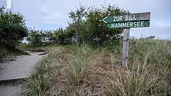 Nordseeurlaub auf Juist mit Wanderungen im Juister Wäldchen