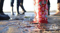 Gummistiefel bei einer Wattwanderung auf Juist