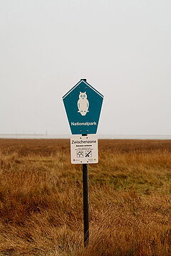 Salzwiesen auf Juist, Nationalpark-Infoschild im Vordergrund