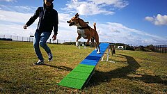 Urlaub mit Hund Mann mit Hund auf Juist auf dem Hundeauslaufplatz