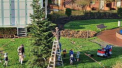 Weihnachten auf Juist - Weihnachtsbaum auf dem Kurplatz