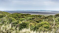 Naturverbundenheit und Nachhaltigkeit auf Juist am Strand