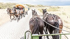 Barrierearmes Reisen auf Juist mit Pferdekutschen und Autofreiheit an der Nordsee