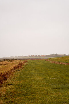 Salzwiesen auf Juist, Weite im Vordergrund mit Gras und Deich sowie Salzwiesen, Bebauung der Insel Juist im Hintergrund in der Ferne