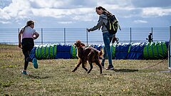 Kinder mit Hund auf Juist auf dem Hundeauslaufplatz