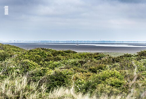 Sicht aufs Wattenmeer zwischen Festland und Juist