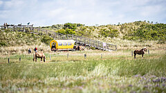 Tagesausflug nach Juist