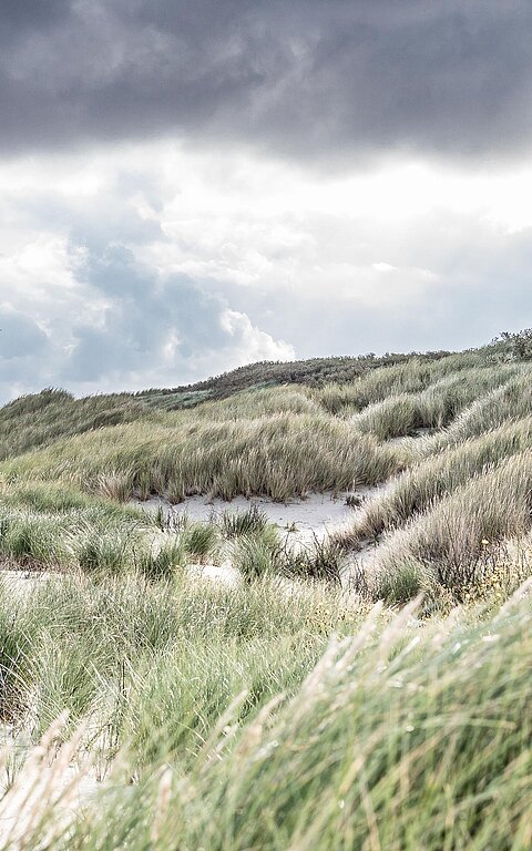 Juister Dünenlandschaft am Strand