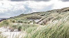 Dünenlandschaft mit Strand und Gewitterwolken auf Juist