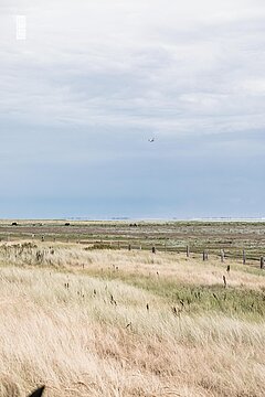 Nordseeurlaub auf Juist - Naturbelassen und natürlich