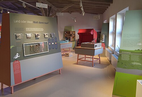 2023 neu eröffnete Ausstellung im Nationalpark-Haus Juist mit dem Fokus auf natürliche Veränderungen des Lebensraums auf Juist, Memmert und der Kachelotplate - Blick vom Eingang auf die Ausstellung mit verschiedenen Exponaten