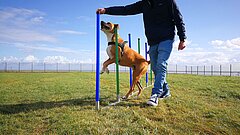 Urlaub mit Hund Mann mit Hund auf Juist auf dem Hundeauslaufplatz