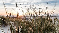 Tagesausflug nach Juist