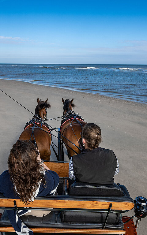 Pferdekutsche am Strand auf Juist