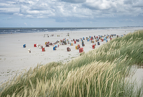 Strandkörbe auf Juist am Strand