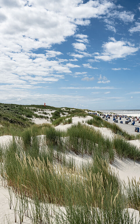 Thalassowege auf Juist - Blick auf den Strand und die Dünen auf Juist