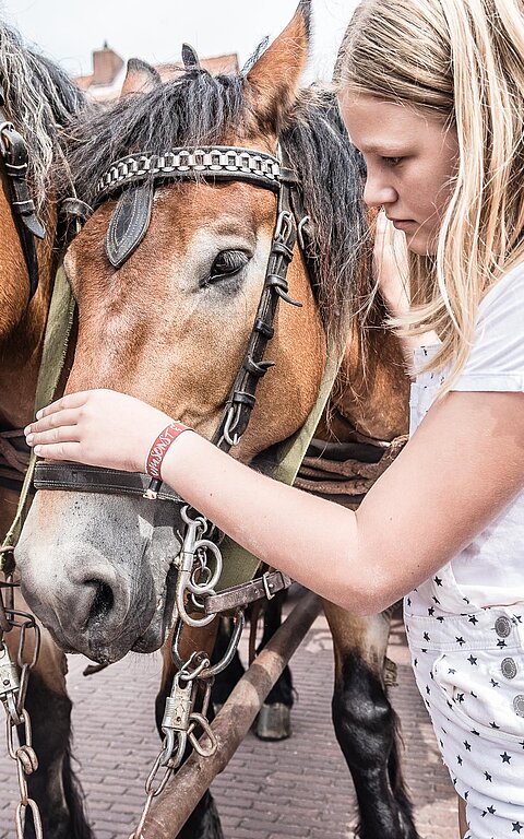 Gästebeitrag auf Juist