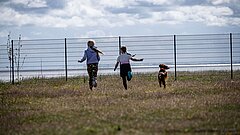 Kinder mit Hund auf Juist auf dem Hundeauslaufplatz