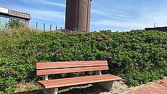 Juister Wunschbänke - Beispiel Bank mit Wasserturm im Hintergrund