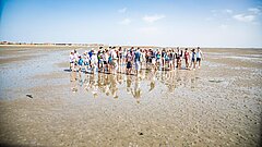 Gruppe aus der Ferne bei einer Wattwanderung auf Juist im Weltnaturerbe Wattenmeer