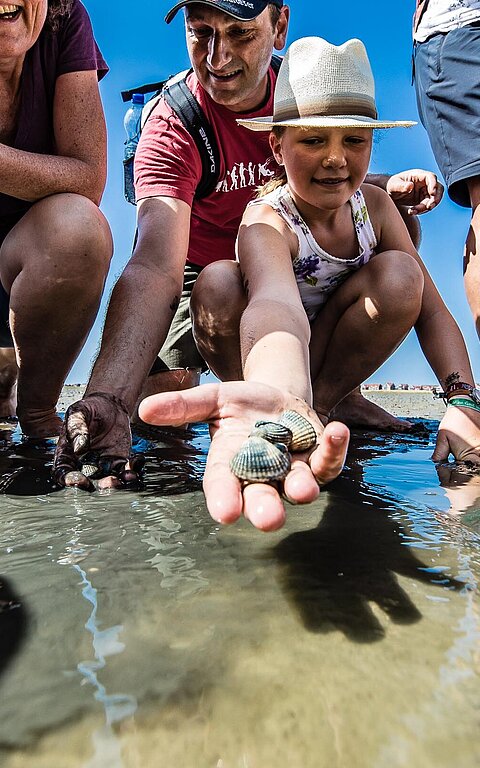 Mädchen in einer Gruppe bei einer Wattwanderung präsentiert stolz ihren Fund im Juister Wattenmeer