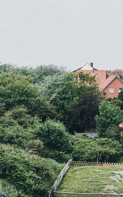 Unterkünfte auf Juist mit Aussicht auf das Ostdorf mit umgebender Bepflanzung